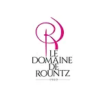 Le Domaine De Rountz 乡村民宿 Rountzenheim-Auenheim